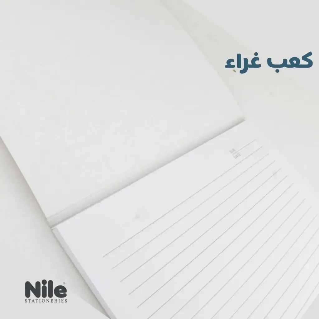 311.webp