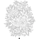 481682155_665205149353922_6714354509371515085_n.webp