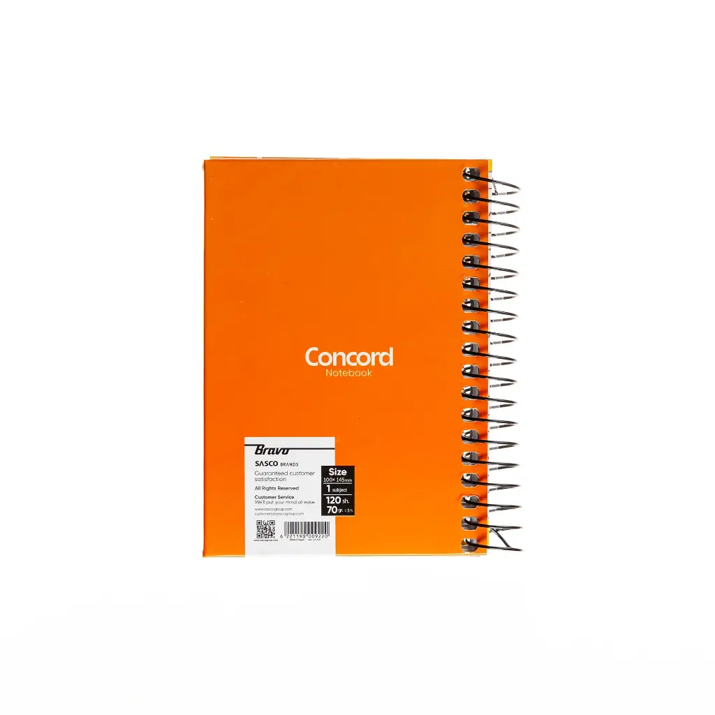 ConcordMini04.webp