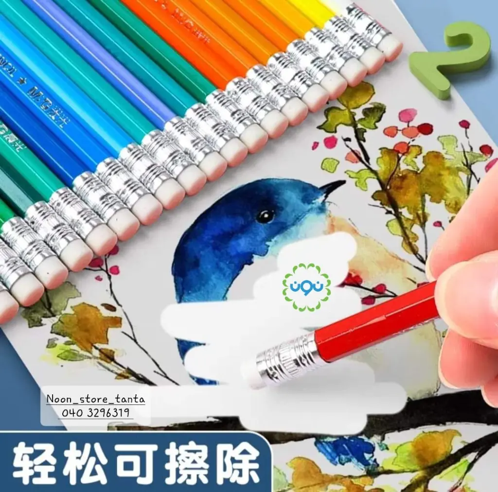 484066101_669770412230729_7716762835679682174_n.webp
