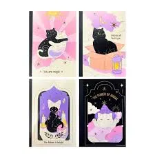 M&G Chenguang universe lined Notebook, Portable Note-Taking, A5 Size, 40 Sheets