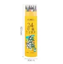 الوان خشب 24 لون القابله للمسح M&G wood Erasable 24 color 